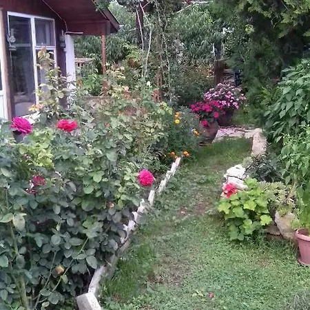 Kashtata Na Hudoznika Art House * Aranyhomok