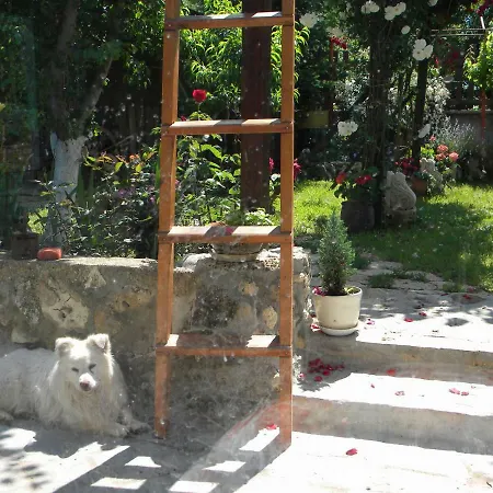 Kashtata Na Hudoznika Art House Guest house Golden Sands