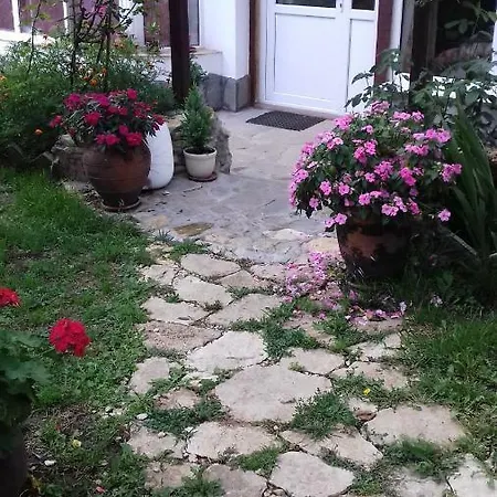 Kashtata Na Hudoznika Art House Guest house Golden Sands